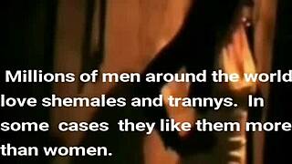 South American Transgender Miss T