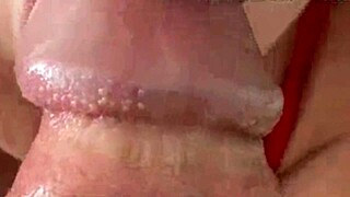 i love watching that african prostitute bent over in public outdoor doggystyle, giving blowjobs to amateurs