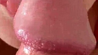 i love watching that african prostitute bent over in public outdoor doggystyle, giving blowjobs to amateurs