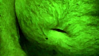 Me Jerking Off In The Shower With A Cumshot