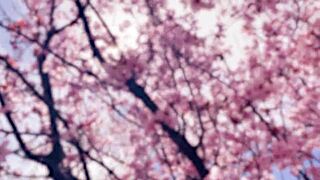 blonde lesbian couple shares deep kisses and steamy orgasms