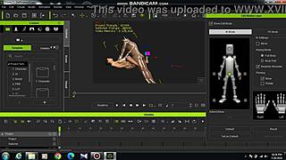 Anime verification video