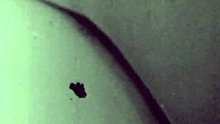 Two Centuries of Vintage Pornography with Hairy Retro Pussy