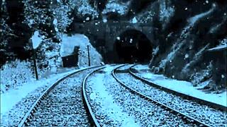 Two Centuries of Vintage Pornography with Hairy Retro Pussy