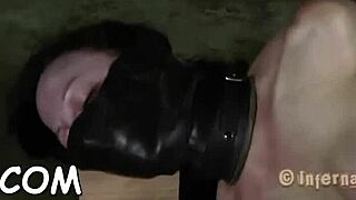 top babes show off hot assets in rough hardcore action