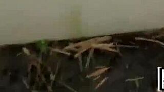 Brooke Wylde Sneaks Around for a Naughty Dick Suck