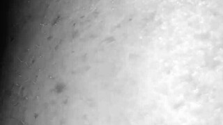 amateur redhead milf stretches with partner damian sanchez in intense session