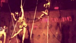 vintage cartoon art collection