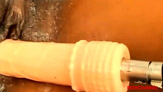 my girlfriend's sister let me fuck her