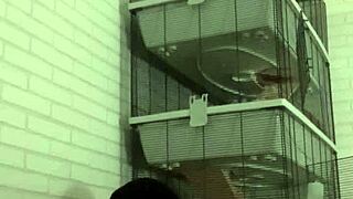 horny piss play on my sofa... oh man!