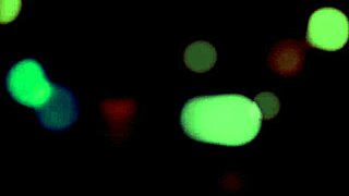 That sexy czech siren alyssa bounty gives passionate blowjobs and licks pussy to orgasm