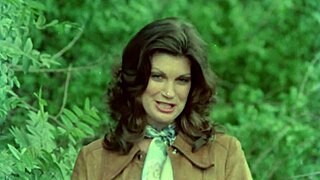 Wow, 1970s Adult Film Trailers in HD Rock!
