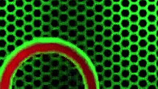 maserati sits on nina kayys face for a cunnilingus session