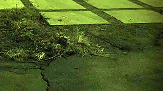 extreme bdsm domination compilation for teens 18+