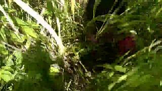 Ela me fez de corno enquanto dava pros caras na praia com Joy Cardozo and Bruna Black. It was a wild gangbang by the shore.