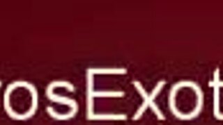 Relax Your Pussy with Wet Massage and Licking Sensations