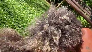 negra gostosa tries advising dani but ends up in hot interracial action