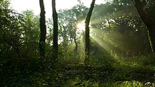 The beauty performs a beautiful act and is ready to try something new