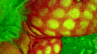 angelg and kuzz in their halloween special part 2