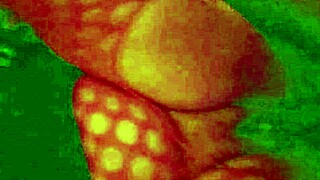 angelg and kuzz in their halloween special part 2