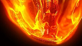 Book Michella Vienna for a sensual Kamasutra session in Europe