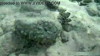 public exhibitionist german teen veronikavonk flashes big boobs by the sea with a kinky vibe