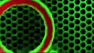 Siri Savors Laela's Tits and Pussy