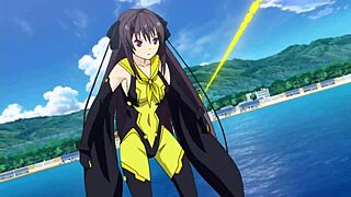 What is Fanzervicas?