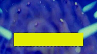 Danny D Gives Massive Cock To Phoenix Marie And Amber Jayne!