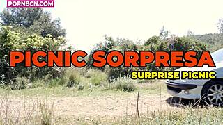 Rough Outdoor Sex With Big Black Cock At Sexy Picnic