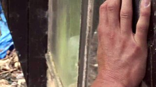 ever wonder what happens sneaking into strangers' homes for wild anal orgies? secrets spill fast.