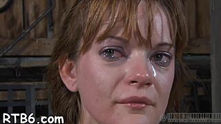 enjoyable session with collaring for the honey