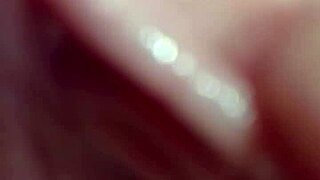 cindy shemale is on the run