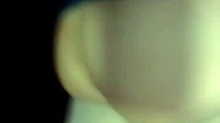 cindy shemale is on the run