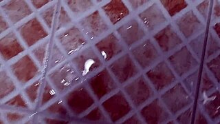 korslaveman struggles to pee while locked in chastity belt