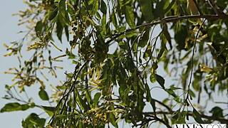 Hey, Vixen teen cheats while handcuffed, taking it deep!