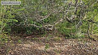 I take advantage of my humility just to help myself