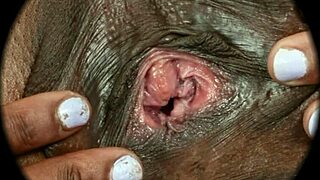Female Textures Showcases Hairy Pussy in HD Vagina Close-Up
