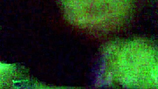 sashaa legend, my amazing mexican milf wife, gives me an incredible blowjob with her tattooed bbw body.