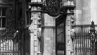 Let me tell you about the wild, hairy scenes from the vintage porn era I stumbled upon.