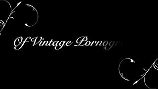 Let me tell you about the wild, hairy scenes from the vintage porn era I stumbled upon.