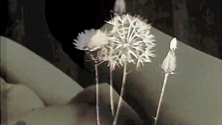 Let me tell you about the wild, hairy scenes from the vintage porn era I stumbled upon.