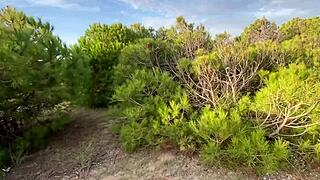 Gay Cruising Public Group Blowjobs with Cumshot Outdoors