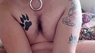 Fat dog relaxes with jerk-off session