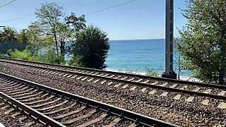 stepbrother fucks stepsister during their walk in the woods