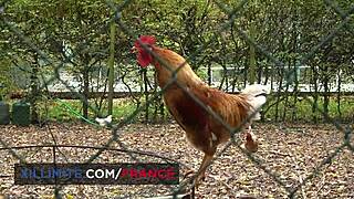 Young brunette takes it hard in every hole with wild fucking.