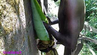 Hot gay show features mature men with huge cocks