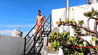 Sun kissed skin swept by sin in latin gay scene