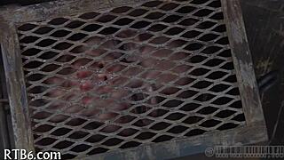 lusty facial castigation for angel 😈