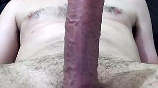 i’m into masturbation and crazy gozadas with andré in sorocaba sp